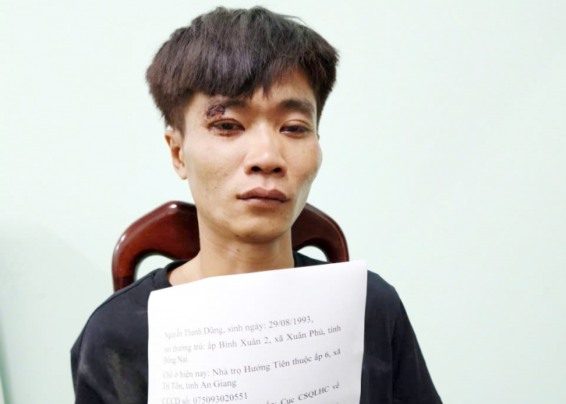 Cảnh sát giao thông truy bắt nhanh đối tượng trộm xe ô tô tải -0