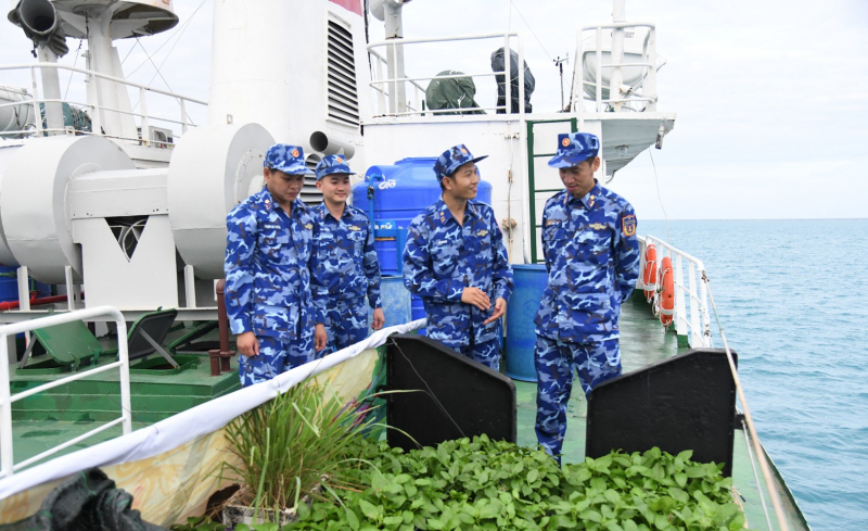 TP Hồ Chí Minh tổ chức bầu cử sớm tại 4 khu vực  -0