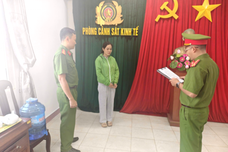 Nữ giám đốc làm khống hơn 500 hóa đơn để trục lợi tiền thuế -0