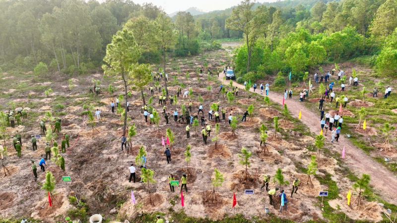 TP Huế phát động “Tết trồng cây đời đời nhớ ơn Bác Hồ”  -0