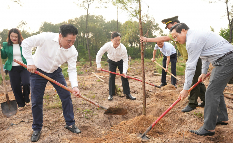 TP Huế phát động “Tết trồng cây đời đời nhớ ơn Bác Hồ”  -0