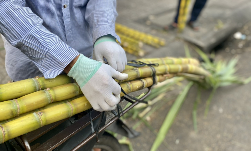 Lạ lùng chợ mía “vía trời” mùng 8 Tết chỉ họp chợ trong 2 ngày -2