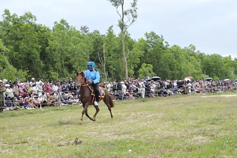 Hàng ngàn người dân du khách hào hứng với Hội đua ngựa Gò Thì Thùng -0