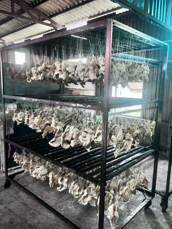 Hải Phòng xử phạt doanh nghiệp trữ hàng chục tấn nội tạng lợn không rõ nguồn gốc -0