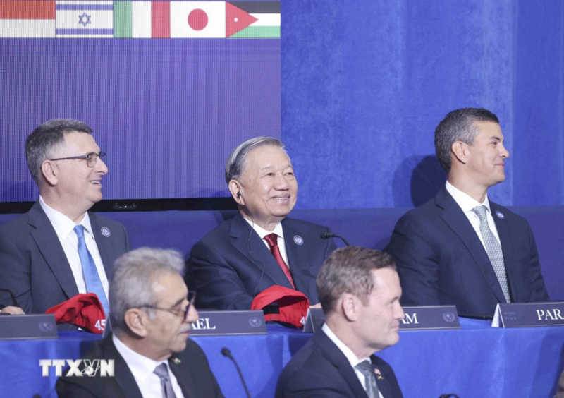 t-ng bí thu tô lâm và các d-i bi-u d- phiên khai m-c h-i d-ng hòa bình v- gaza. -nh- th-ng nh-t_ttxvn.jpg -0