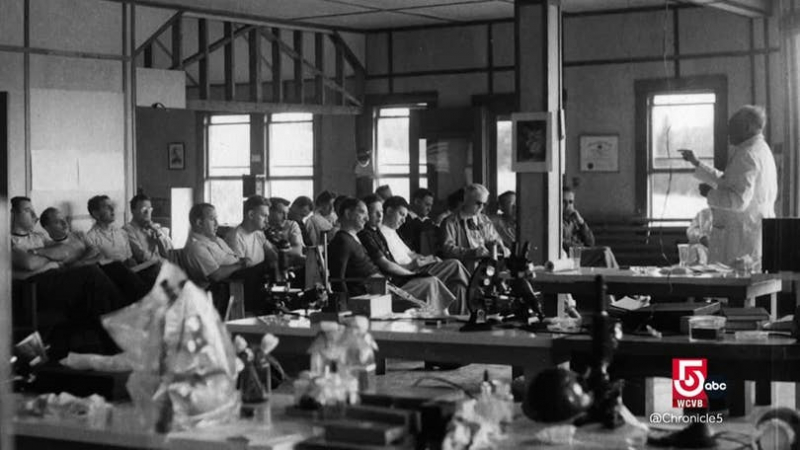 Khi nhà khoa học bước lên ghế bị cáo: Bài học quản trị từ bi kịch Wilhelm Reich -0