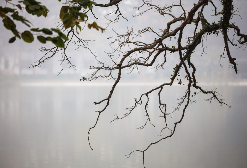 Miền Bắc sáng sớm sương mù, trưa hửng nắng -0