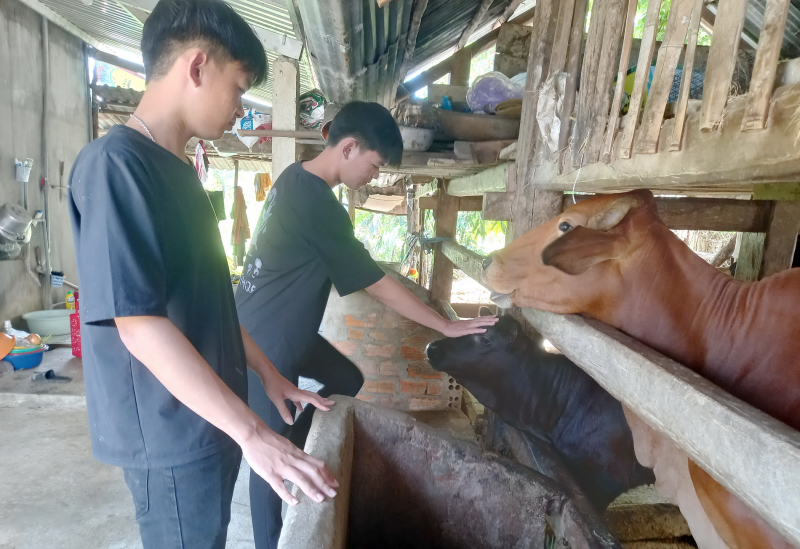 Anh em song sinh tình nguyện nhập ngũ nghĩa vụ trong Công an nhân dân -0