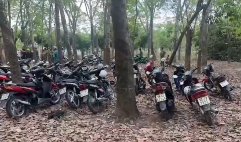 Liên tiếp triệt phá các tụ điểm cờ bạc quy mô lớn trong cao điểm Tết Bính Ngọ  -0