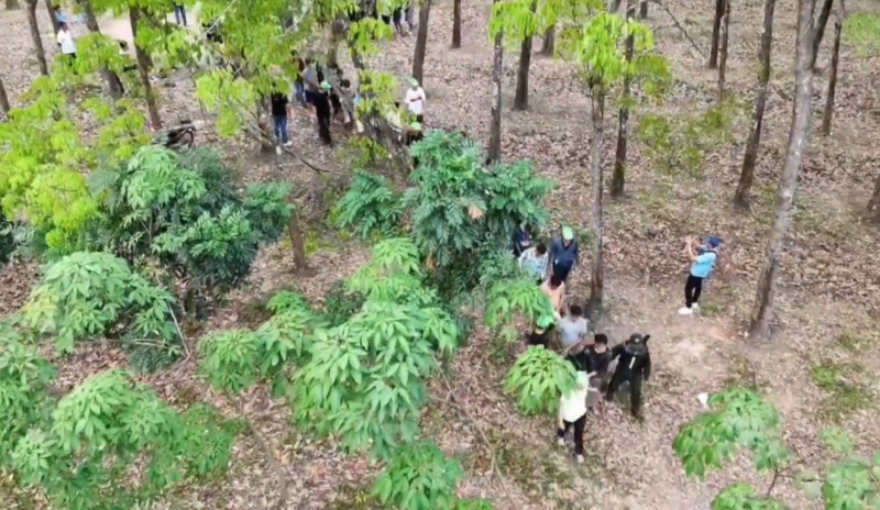 Liên tiếp triệt phá các tụ điểm cờ bạc quy mô lớn trong cao điểm Tết Bính Ngọ  -2