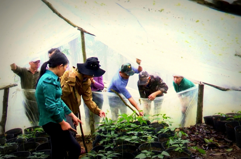 3aa95ac4561bd845810a.jpg -0