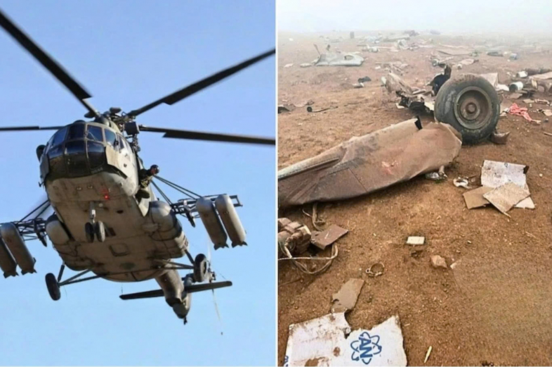 Chú chó sống sót kỳ diệu sau vụ rơi máy bay -0