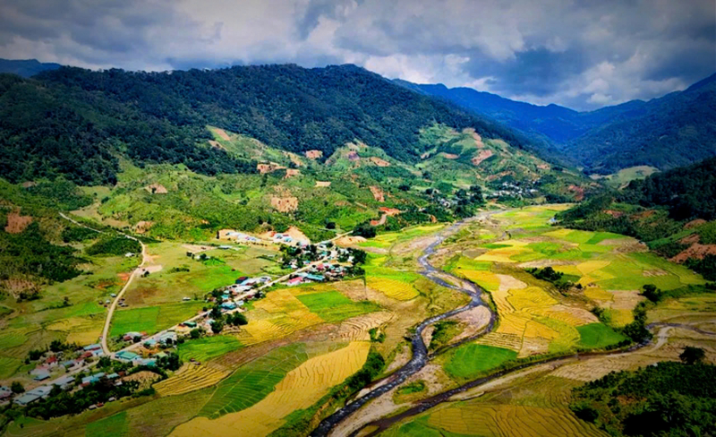 bf93c9ecc5334b6d1222.jpg -0