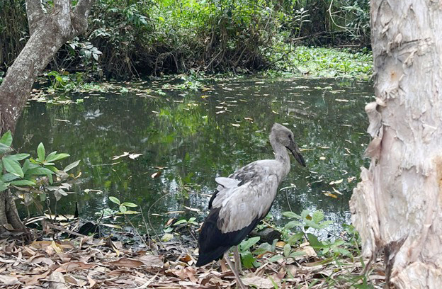 Nâng cao ý thức bảo vệ động hoang dã và nguồn lợi thủy sản -0
