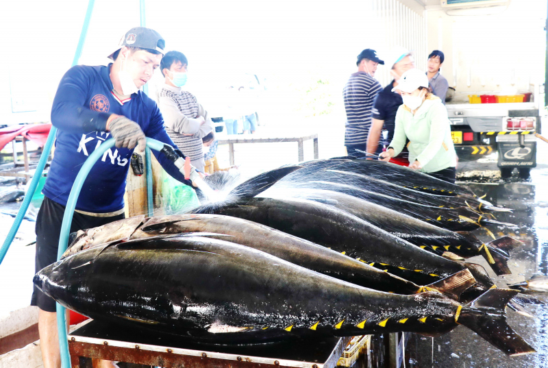 Ngư dân Đắk Lắk nỗ lực tháo gỡ “thẻ vàng” thủy sản -0