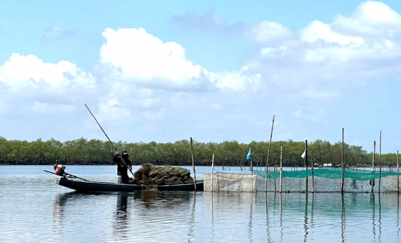 Phát huy tiềm năng, khai thác hiệu quả lợi thế hệ đầm phá nước lợ lớn nhất Đông Nam Á -0