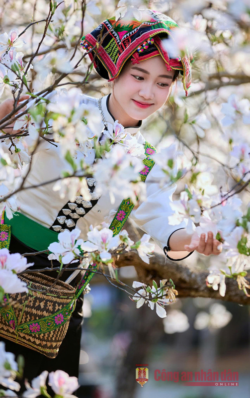 Dịu dàng nàng ban -0