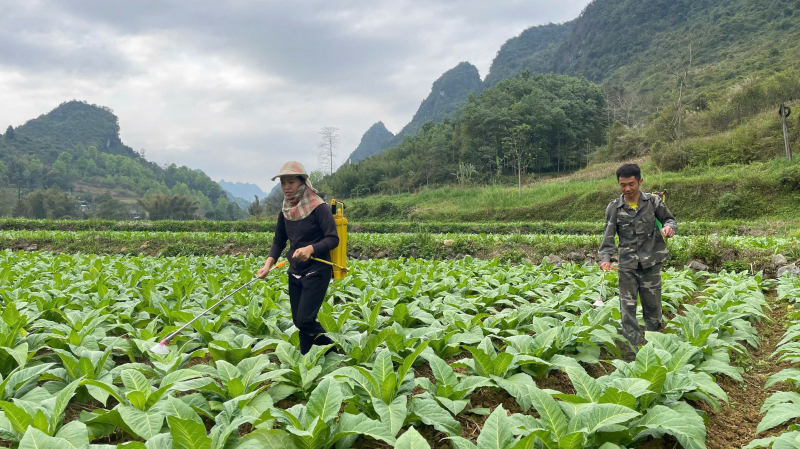 Cần Yên vững vàng nơi phên giậu Tổ quốc -0
