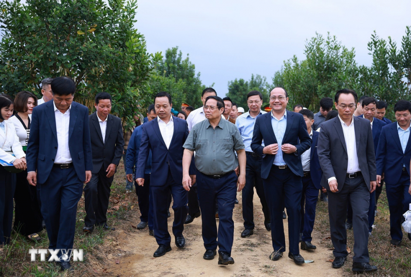 Thủ tướng: Cần biến núi rừng Tây Bắc trùng điệp thành của cải vật chất -0