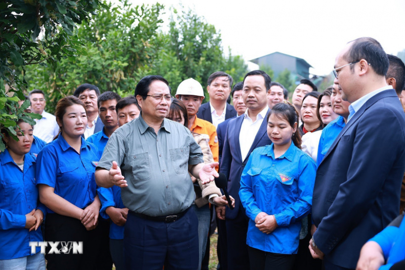 Thủ tướng: Cần biến núi rừng Tây Bắc trùng điệp thành của cải vật chất -0