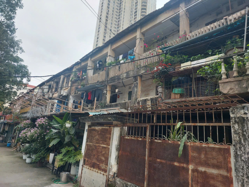 1806816113352219568.jpg -0