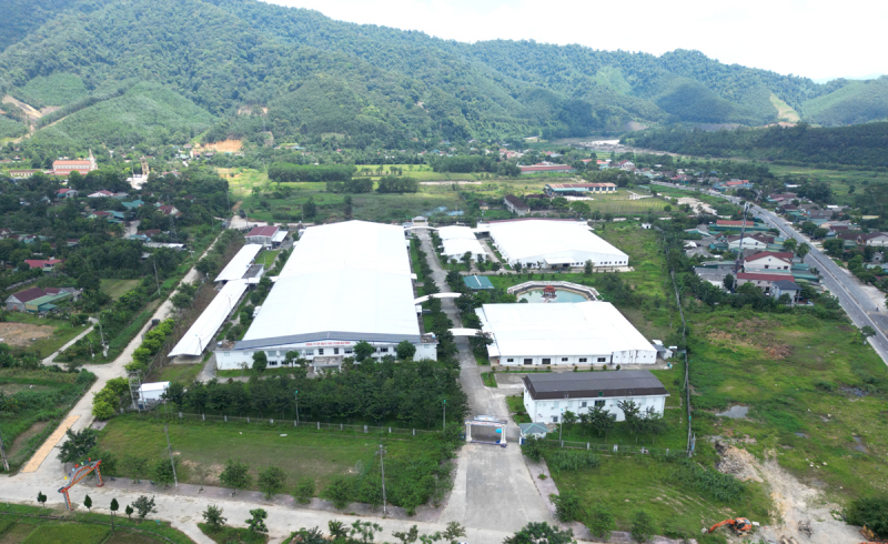 Nợ lương và tiền thưởng tết, một công ty ngừng hoạt động vì vắng bóng công nhân  -0