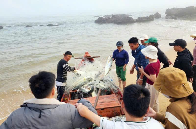 Quyết liệt chống khai thác IUU để gỡ thẻ vàng của EC về khai thác thuỷ hải sản -0