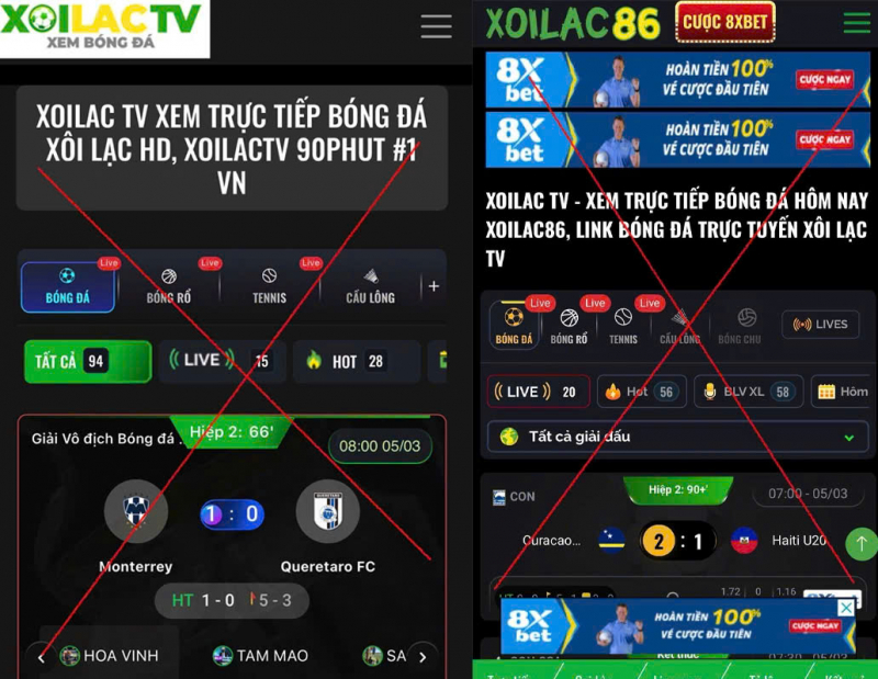 Hệ sinh thái  web lậu và cá độ phía sau Xôi Lạc TV -0