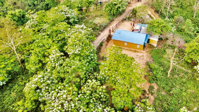 Đưa nông sản Quảng Trị vươn ra thế giới -0