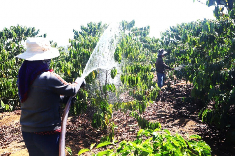 Người dân, doanh nghiệp tìm cách thích ứng khi giá xăng dầu tăng cao -0