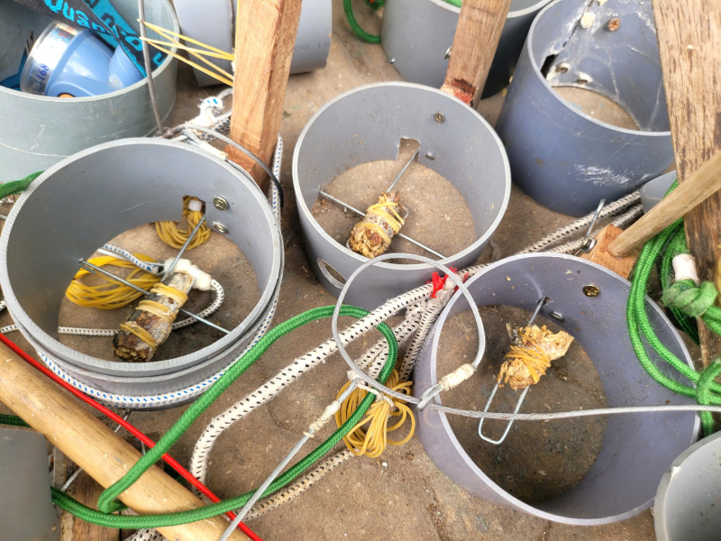 Đối tượng cuối cùng trong nhóm “dơi đêm” chuyên săn trộm mèo ra đầu thú -3