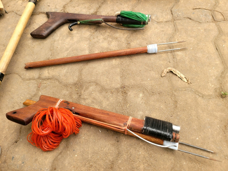 Đối tượng cuối cùng trong nhóm “dơi đêm” chuyên săn trộm mèo ra đầu thú -0