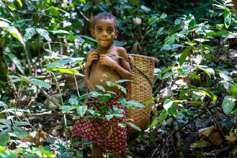 Năm 2026 và hy vọng mới cho “lá phổi thế giới” -0