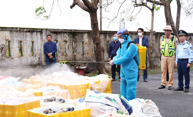 Tiêu hủy hơn 2,6 tấn nội tạng động vật không rõ nguồn gốc -0