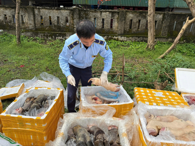 Tiêu hủy hơn 2,6 tấn nội tạng động vật không rõ nguồn gốc -0