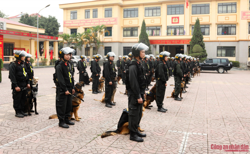 20260312-0o7a9061.jpg -0