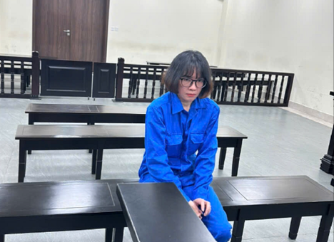 Chiếm đoạt tiền tỷ từ chiêu trò lừa mang thai hộ  -0