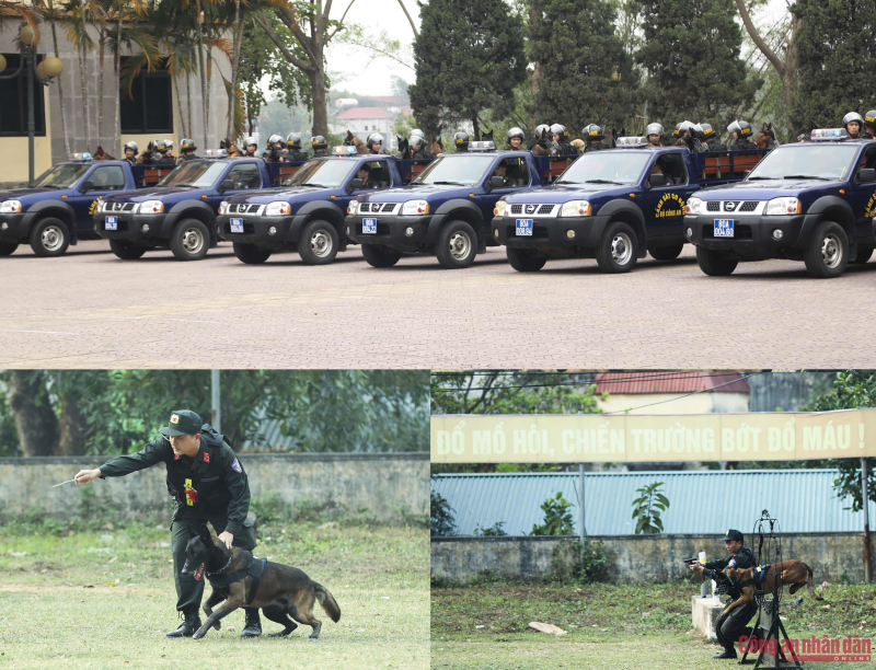 ghep-6_totren_2nhoduoi.jpg -0