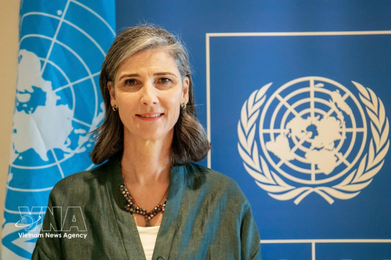 NA, People’s Council election to shape policies sustaining Vietnam’s development momentum: UNDP official -0