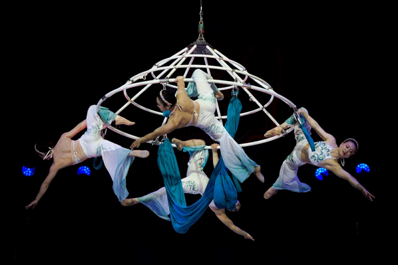 Khi Xiếc Việt “trở mình” -0