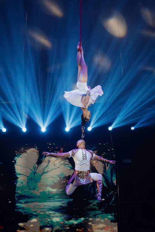 Khi Xiếc Việt “trở mình” -0