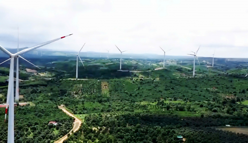 TP Hồ Chí Minh thúc đẩy thu hút kiều hối vào khoa học – công nghệ -0