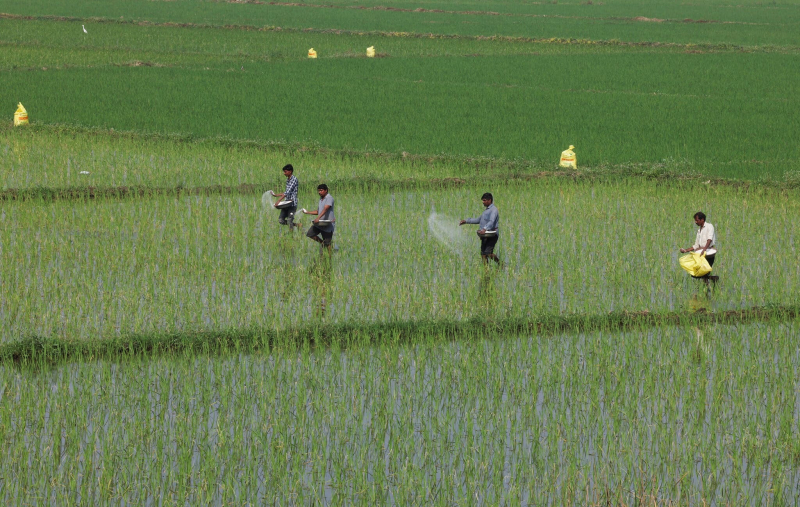 00biz-iran-fertilizer-02-wfhz-su.jpg -0