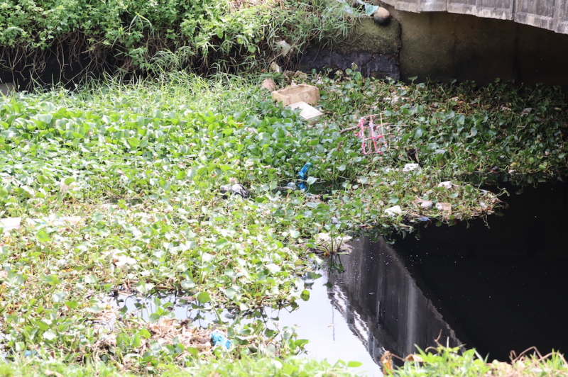 Nhếch nhác tại công trình trăm tỷ nhiều tai tiếng ở Cần Thơ -0