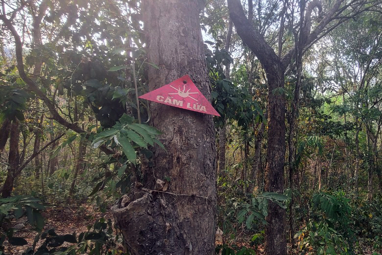 Tăng cường phòng chống cháy rừng ở vùng Tây Nam Bộ -0