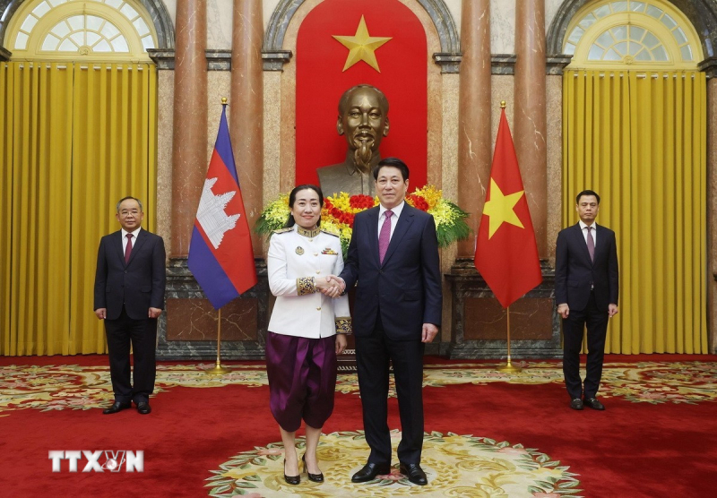 Chủ tịch nước tiếp Đại sứ Campuchia, Saudi Arabia, Dominica trình Quốc thư -0