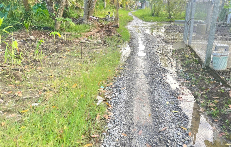 Con đường thắm tình quân dân -0