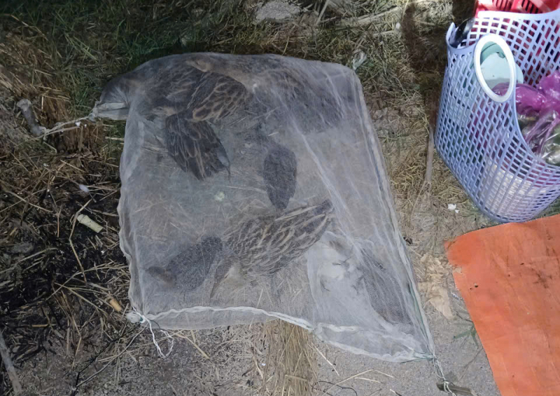 Phát huy vai trò Công an trong bảo vệ động vật hoang dã ở An Giang -0