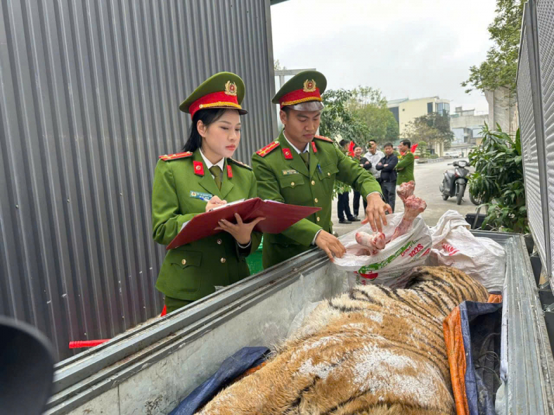 Siết chặt “vòi bạch tuộc” tội phạm động vật hoang dã -0