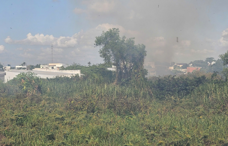 Khu dân cư hốt hoảng vì đám cháy do đốt cỏ dại -1